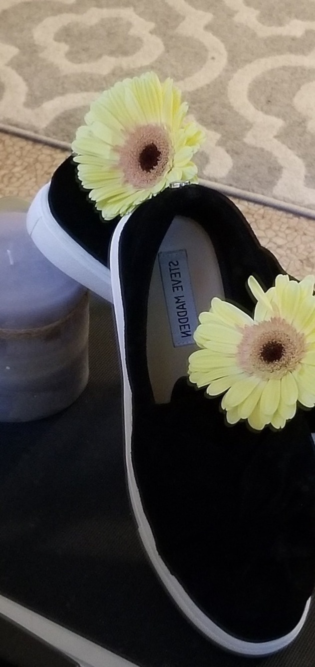 Steve madden sliders